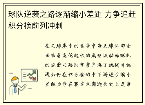 球队逆袭之路逐渐缩小差距 力争追赶积分榜前列冲刺